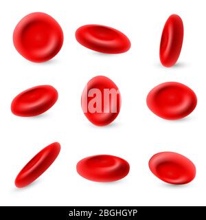Eritrociti umani, set di vettori microscopici 3d di globuli rossi isolati su sfondo bianco. Globuli rossi, microbiologia salute umana illustrazione Illustrazione Vettoriale
