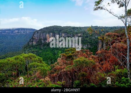 Area della Valle di Grose Parco Nazionale delle Montagne Blu, nuovo Galles del Sud Australia Foto Stock