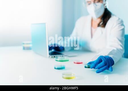 Donna che lavora con Petri piatti in laboratorio. In cerca di vaccino per coronavirus. Laboratorio microbiologico. Foto Stock