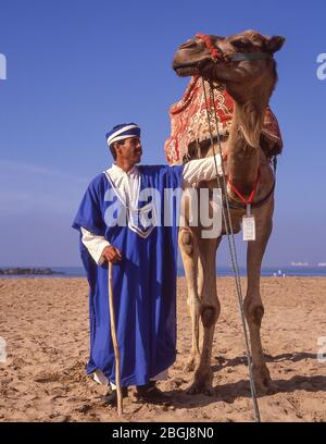 Autista di cammello sulla spiaggia di Agadir, Agadir, regione di Souss-massa-Draâ, Marocco Foto Stock