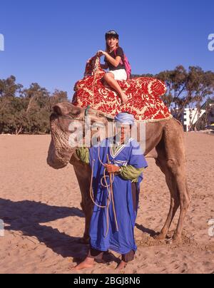 Autista di cammello sulla spiaggia di Agadir, Agadir, regione di Souss-massa-Draâ, Marocco Foto Stock