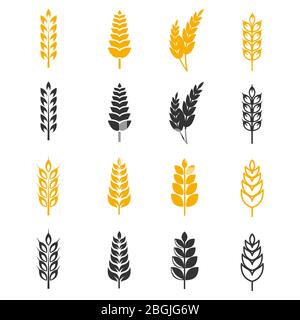 Le orecchie di grano nero e giallo silhouette icone vettoriali. Illustrazione di grano di raccolto di raccolta Illustrazione Vettoriale