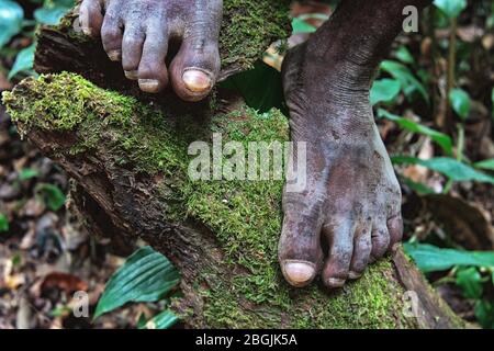 Tribù dei Pigmy nella riserva forestale di DZANGA-Sanha, REPUBBLICA CENTRAFRICANA Foto Stock