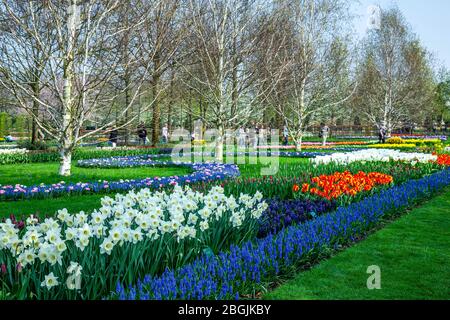 I giardini e i turisti, Giardini Keukenhof, vicino a Lisse, Paesi Bassi Foto Stock