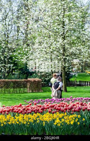 I giardini e i turisti, Giardini Keukenhof, vicino a Lisse, Paesi Bassi Foto Stock