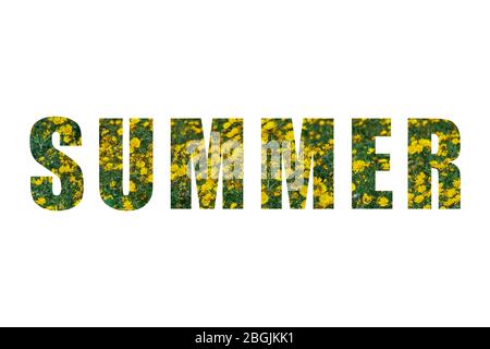 Iscrizione ESTATE con motivo floreale giallo fiorito margherita isolato su bianco. Ciao concetto estivo Foto Stock