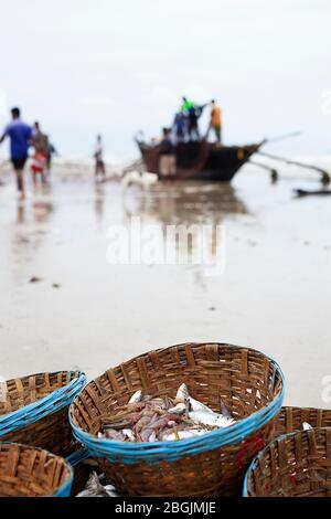 Pesci in un paniere catturati dai pescatori Â Foto Stock