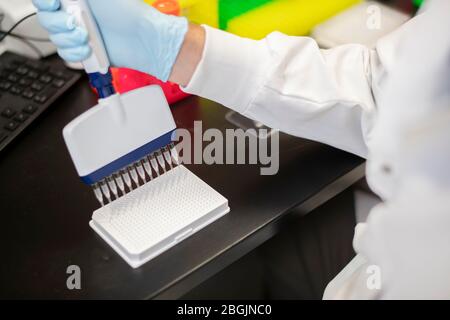 Vista dall'alto di uno scienziato utilizzando una pipetta multicanale Foto Stock