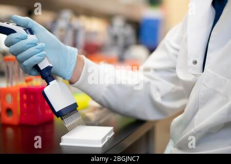 Lo scienziato utilizza una pipetta multicanale in un laboratorio scientifico Foto Stock
