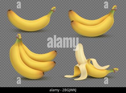 Realistic banana gialla, banana mazzo 3d vettore illustrazione isolato su sfondo trasparente. Frutta fresca, biologico e matura tropicale illustrazione Illustrazione Vettoriale