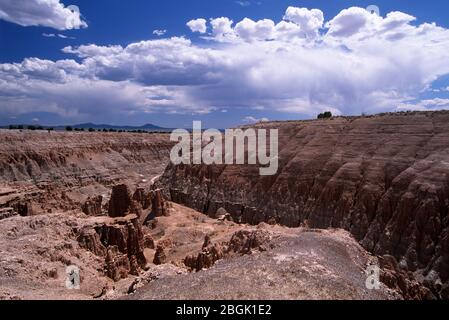 Miller Point, Cathedral Gorge state Park, Nevada Foto Stock