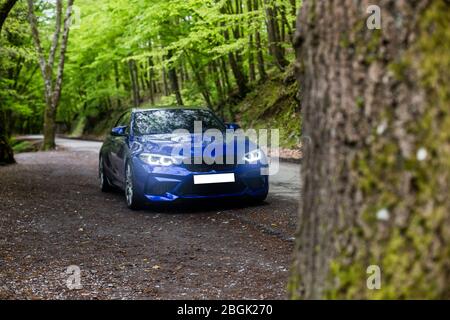 Parcheggio in berlina blu nella foresta e accensione delle luci anteriori Foto Stock