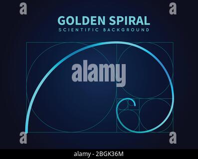 Formula matematica della spirale fibonacci. Regola della sezione Golden ratio. Sfondo astratto vettoriale. Spirale sezione dorata, illustrazione matematica proporzionale Illustrazione Vettoriale