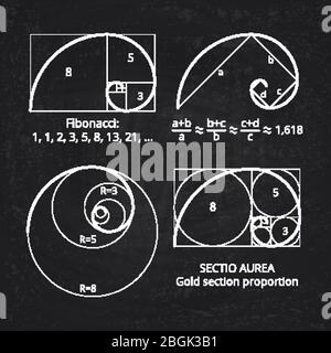 Schema della sezione del rapporto d'oro, spirale fibonacci su illustrazione vettoriale a lavagna. Armonia geometrica, linea a spirale Illustrazione Vettoriale