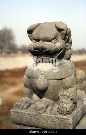 Shishi sulla colonna di osservazione del Ponte di Pechino Lugou il Ponte di Lugou è famoso in tutto il mondo per tutti i tipi di leoni di pietra con un totale di 498 281 grandi pietre Foto Stock