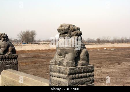 Shishi sulla colonna di osservazione del Ponte di Pechino Lugou il Ponte di Lugou è famoso in tutto il mondo per tutti i tipi di leoni di pietra con un totale di 498 281 grandi pietre Foto Stock