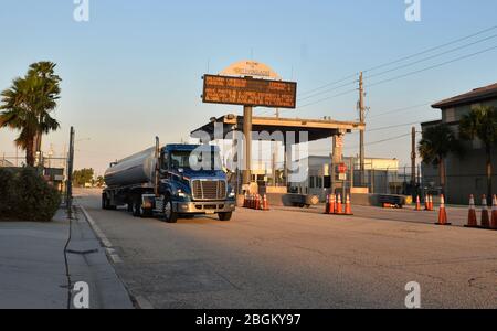 FORT LAUDERDALE, FLORIDA - APRILE 22: I camion del petrolio greggio vengono e vanno a Port Everglades a Fort Lauderdale, Florida. I futures petroliferi per la prima volta sono passati al di sotto dello zero, mentre le turbolenze economiche causate dalla crisi del coronavirus continuano il 22 aprile 2020 persone: Petrolio Trucks Credit: Storms Media Group/Alamy Live News Foto Stock