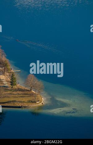 Bellissimo lago di Bohinj da Vogar Foto Stock