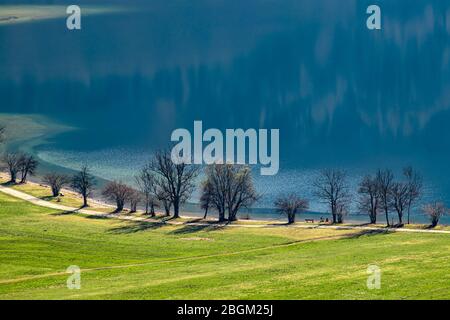 Sentiero escursionistico vicino al lago di Bohinj in primavera Foto Stock