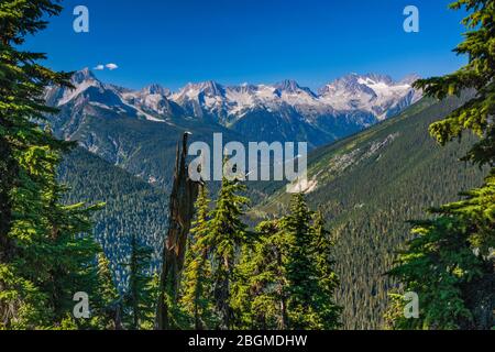 Hermit Range, Columbia Mountains over Rogers Pass, visto da Glacier Crest Trail, Glacier National Park, British Columbia, Canada Foto Stock