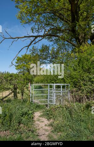 Un nuovo cancello oscillante in metallo installato in un hedgerow su un sentiero pubblico nei campi vicino Redditch, Worcestershire, Foto Stock