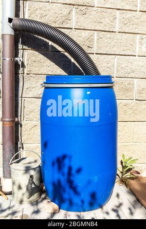 Un barile di pioggia in giardino. L'acqua piovana da una canna di acqua  Foto stock - Alamy