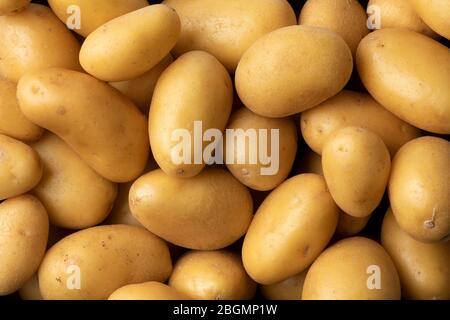 Patate fresche piccole nuove chiudere la cornice completa Foto Stock