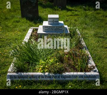 La tomba del romanziere vittoriano e naturalista Richard Jefferies in Broadwater Cemetery, Worthing, West Sussex, Regno Unito Foto Stock