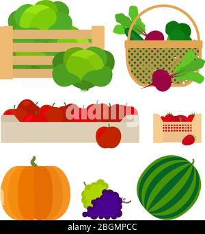 Cesti di fattoria con verdure e frutta illustrazione vettoriale Illustrazione Vettoriale