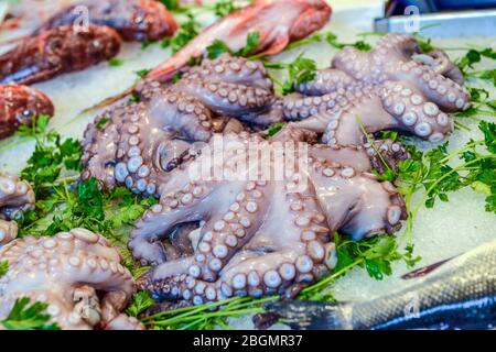 polpi sul bancone del negozio di pesce Foto Stock