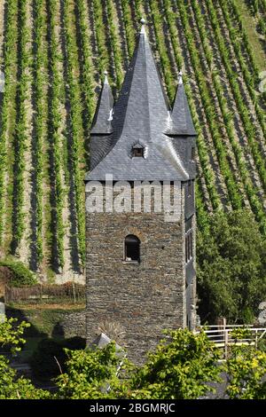 Vigna e Steeger Tor, Bacharach am Rhein, Patrimonio dell'Umanità dell'UNESCO alta Valle del Reno, Renania-Palatinato, Germania Foto Stock