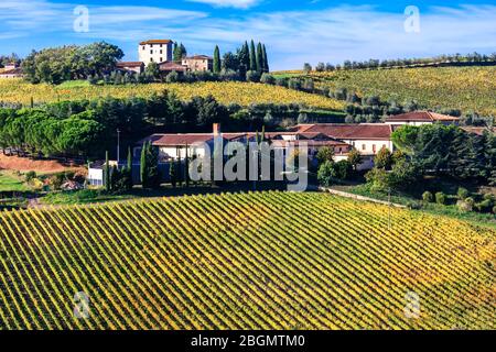 Bella campagna d'Italia, piantagioni d'uva . Toscana - famosa regione vinicola. Foto Stock