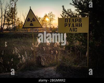 Cartello di avvertenza radiazioni con il nome - "Foresta Rossa" in lingua Ucraina. Zona di esclusione di Cernobyl. Ucraina. Foto Stock