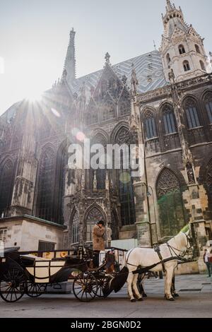 Vienna, Austria - 23 marzo 2019: coachman in carrozza con cavalli vicino alla Cattedrale di Santo Stefano Vienna, in attesa di turisti Austria Foto Stock