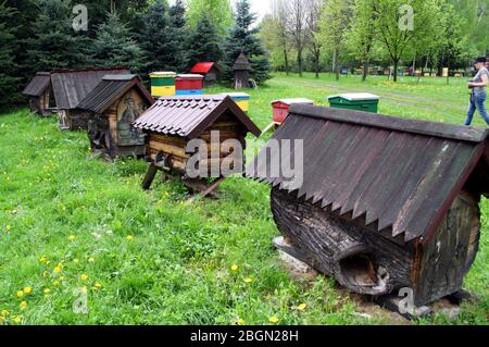 Mszana Dolna, Voivodato della Malopolska. Antiche alveare in legno intagliato in apiario privato. Foto Stock