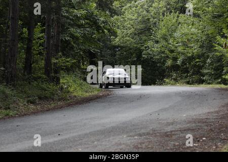 Rally storico nella foresta con delta lancia e molto altro Foto Stock