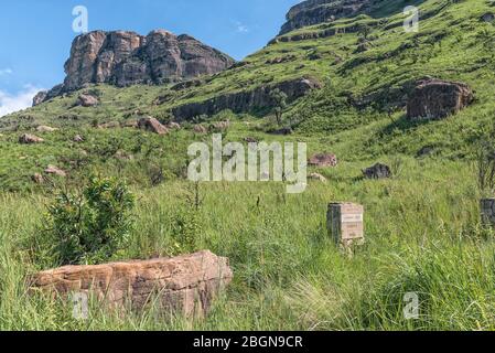 Un cartello direzionale sul sentiero da Lookout Rock a Tiger Falls. Le colline Dooley sono visibili sul retro Foto Stock