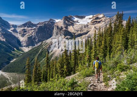 Escursionista sul Burgess Highline Trail, Canadian Rockies, President Range, Emerald Glacier, Michael Peak in dist, Yoho National Park, British Columbia Canada Foto Stock