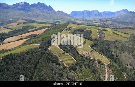 Vista aerea dei campi agricoli Foto Stock