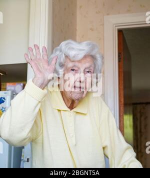 Kidderminster, Regno Unito. 22nd aprile 2020. Il pensionato Peggy Lappage raggiunge oggi il favoloso marchio giovane di 100 anni! Le celebrazioni erano state pianificate, ma a causa dell'istruzione di blocco "Casa Say, proteggere l'NHS, salvare vite" del governo, tutti i get-togethers hanno dovuto essere rinviati. Anche se in isolamento, i buoni desideri hanno mantenuto la sua linea telefonica calda tutta la mattina e più tardi oggi alle ore 5 tutti i suoi vicini gentili saranno sorprendenti Peggy e uscire sulla strada per cantare collettivamente 'Happy Birthday' in suo onore. Credit: Lee Hudson/Alamy Live News Foto Stock