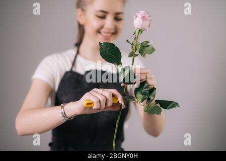 Giovane donna ridente fiorista che indossa grembiule tagli fresco fiore di rosa con forbici Foto Stock