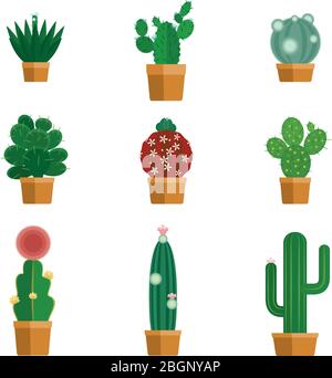 Icone Cactus in stile piatto. Fiori tropicali in vasi da fiori. Illustrazione vettoriale Illustrazione Vettoriale