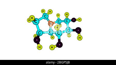 Castanospermina è un alcaloide dell'indolizidina. È un potente inibitore di alcuni enzimi glucosidasi ed ha attività antivirale. illustrazione 3d Foto Stock