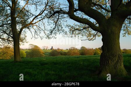 Pascolo aperto fiancheggiato da alberi senza frondoli e arbusti sotto il cielo tramonto nel Westwood in primavera vicino Beverley, Yorkshire, Regno Unito. Foto Stock