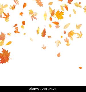 Sfondo autunnale con acero dorato, quercia e altre foglie. EPS 10 Illustrazione Vettoriale