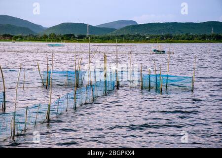 modello di rete di pesca al lago di chilika odisha india Foto Stock