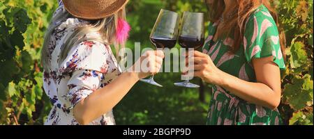 Primo piano sulle mani delle donne che tengono i bicchieri di vino rosso al vigneto in Francia Foto Stock