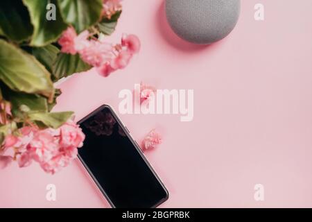 Piatto di smartphone tagliato, altoparlante intelligente e vaso di begonia pianta in fiore su sfondo rosa. Foto Stock