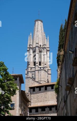 La Collegiata di Sant Felix, alias Basílica de Sant Feliu a Girona, Catalogna, Spagna, Europa Foto Stock