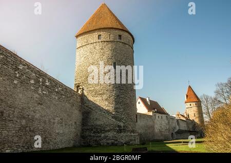 Muro con torri nella città vecchia di Tallinn, Estonia. Torri medievali. Parte delle Mura cittadine. Torri fortezza e parco su sfondo cielo. Foto Stock